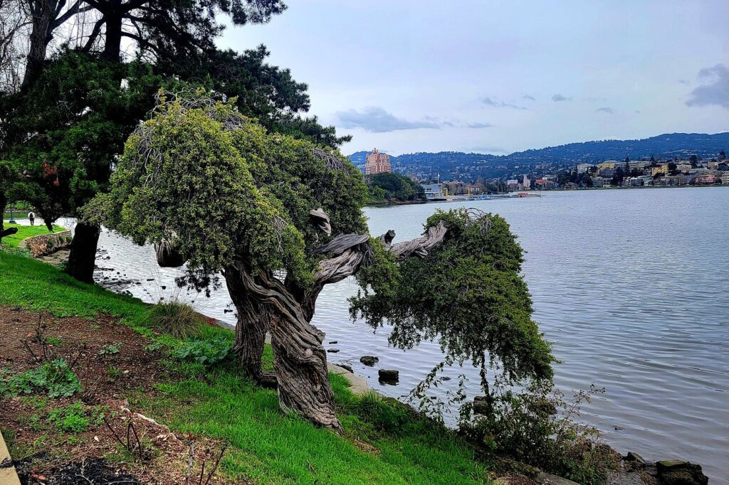  Lake Merritt