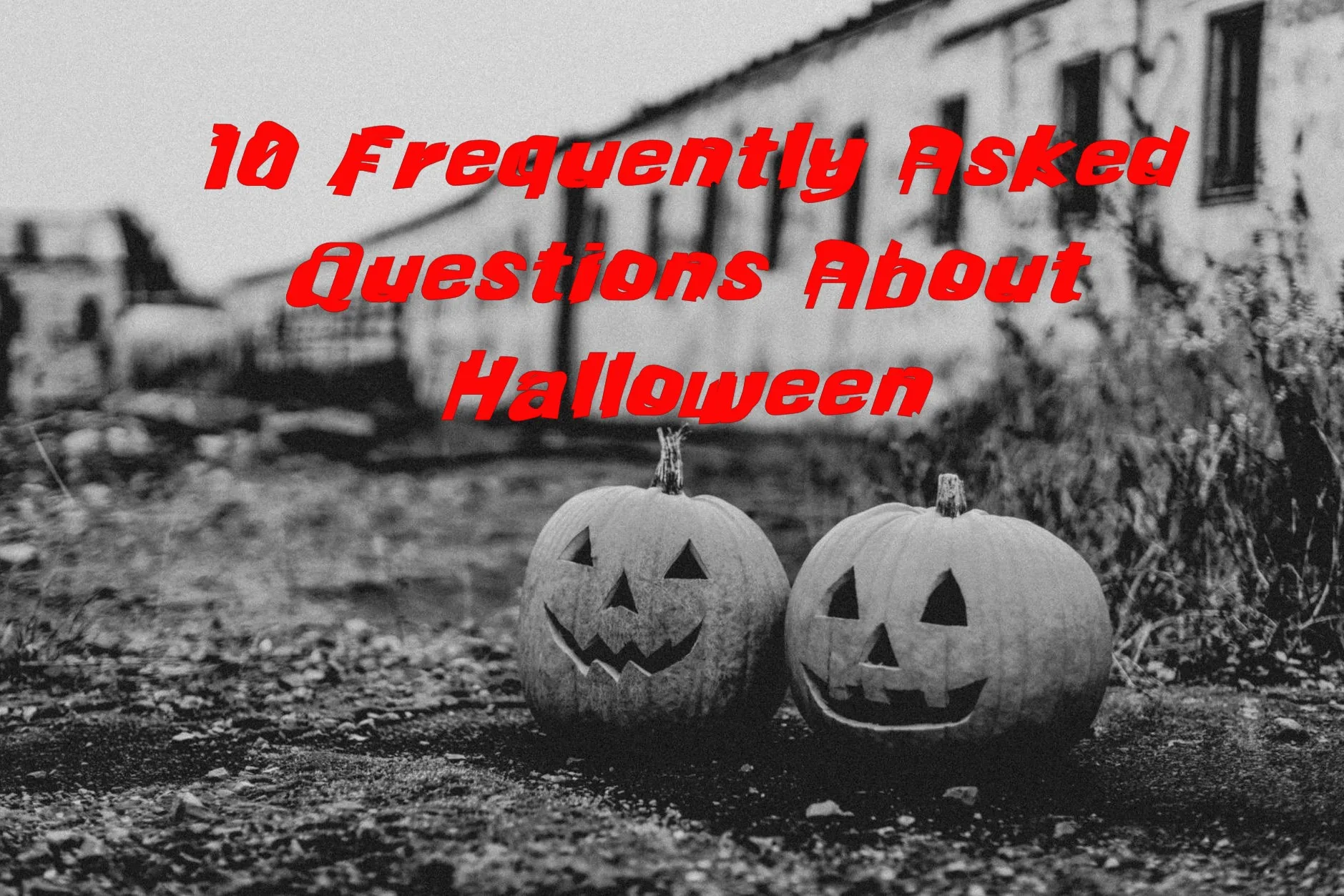 10 Frequently Asked Questions About Halloween