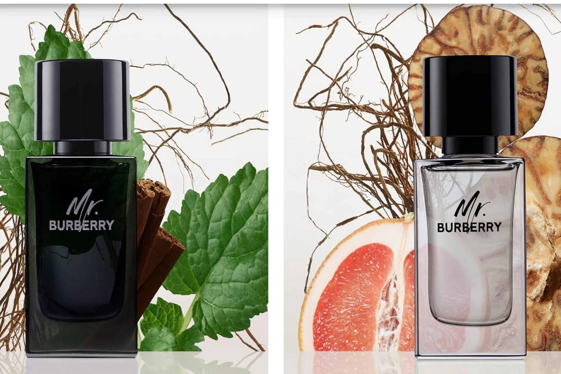 The Best Burberry Perfumes For Woman Need To Know